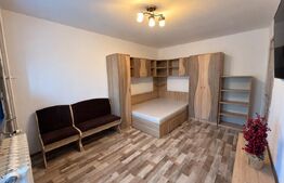 Garsoniera de vanzare, 27 mp, zona Valea Rosie