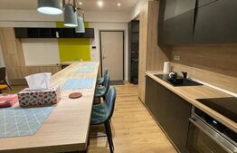 Apartament de închiriat 2 camere Valea Rosie, Craiova