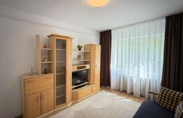 Garsonieră de vânzare Brazda lui Novac, Craiova