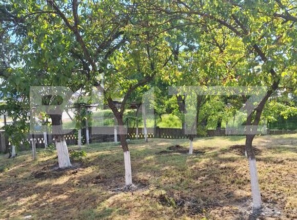 Casa de vânzare 3 camere Calarasi - 205638CV | BLITZ Craiova | Poza18