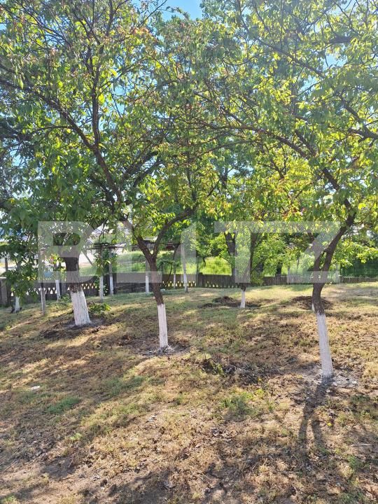Casa de vânzare 3 camere Calarasi - 205638CV | BLITZ Craiova | Poza18