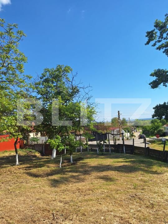 Casa de vânzare 3 camere Sud-Est - 205638CV | BLITZ Craiova | Poza17