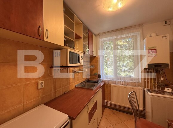 Apartament de închiriat 2 camere Garii - 205684AI | BLITZ Craiova | Poza7