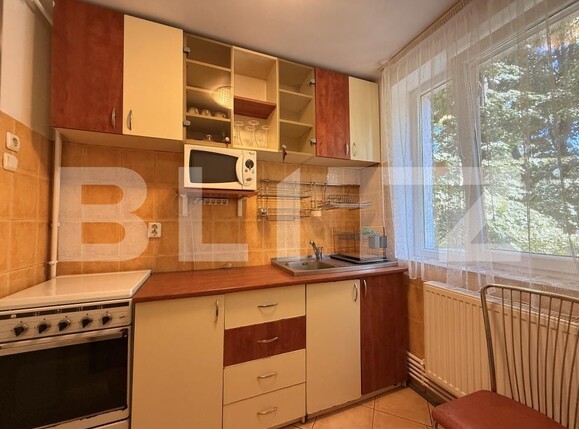 Apartament de închiriat 2 camere Garii - 205684AI | BLITZ Craiova | Poza9