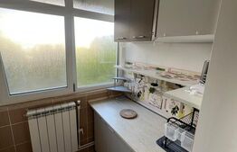 Apartament 2 camere Craiovita Noua