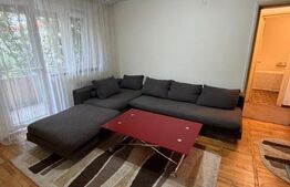 Apartament 2 camere, 44 mp, 1 Mai, zona Insulă