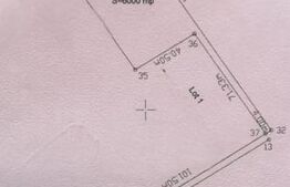Teren extravilan, 6000mp, zona sere Beharca