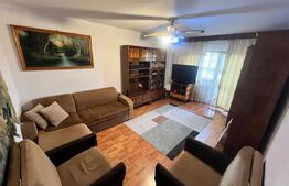 Apartament de vânzare 3 camere Lapus Arges, Craiova