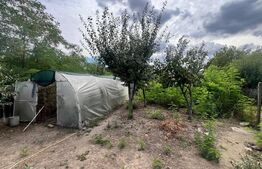 Proprietate 85 mp, teren 1000 mp, zona Robanesti