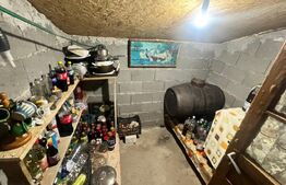 Proprietate 85 mp, teren 1000 mp, zona Robanesti