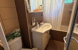 Apartament 2 camere, 49 mp, zona Brazda lui Novac