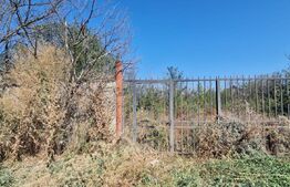 Teren intravilan 874 mp, dubla deschidere, zona Aeroclub