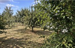 Teren intravilan, 432 mp, zona Albesti