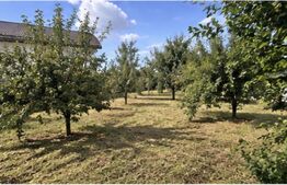 Teren intravilan, 432 mp, zona Albesti