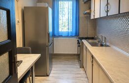 Apartament 2 camere, 51 mp, zona Brazda Lui Novac