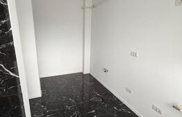 Penthouse 3 camere, 133.5 mp, Centru, zona Pirelli