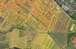 Teren intravilan, 7000 mp, zona Preajba noua-Damila