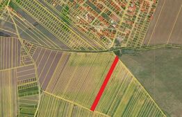 Teren intravilan, 7000 mp, zona Preajba noua-Damila