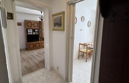 Aparatament 2 camere, 46.60 mp, zona Brazda lui Novac