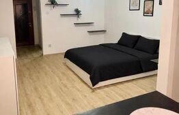Garsoniera de vanzare, 31 mp, zona Brazda lui Novac