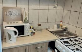 Camera de camin, 22 mp, zona George Enescu