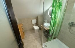 Casa P+E+M, 170 mp, 485 mp teren , zona Ford 