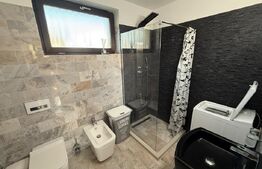 Casa P+E+M, 170 mp, 485 mp teren , zona Ford 