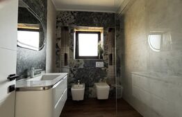 Vila P+1, 165 mp, piscina, 850 mp teren, zona Bariera Valcii