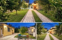 Casa 109 mp, teren 1.213 mp, zona Centrala – Liceul „Petrache Trișcu”