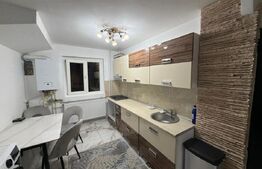 Apartament 2 camere, parter, 50 mp, Brazda Lui Novac