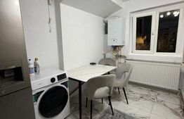 Apartament 2 camere, parter, 50 mp, Brazda Lui Novac