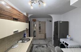 Apartament 2 camere, parter, 50 mp, Brazda Lui Novac