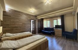 Casa 7 camere, pretabil birouri/spatii cazare zona Rovine 