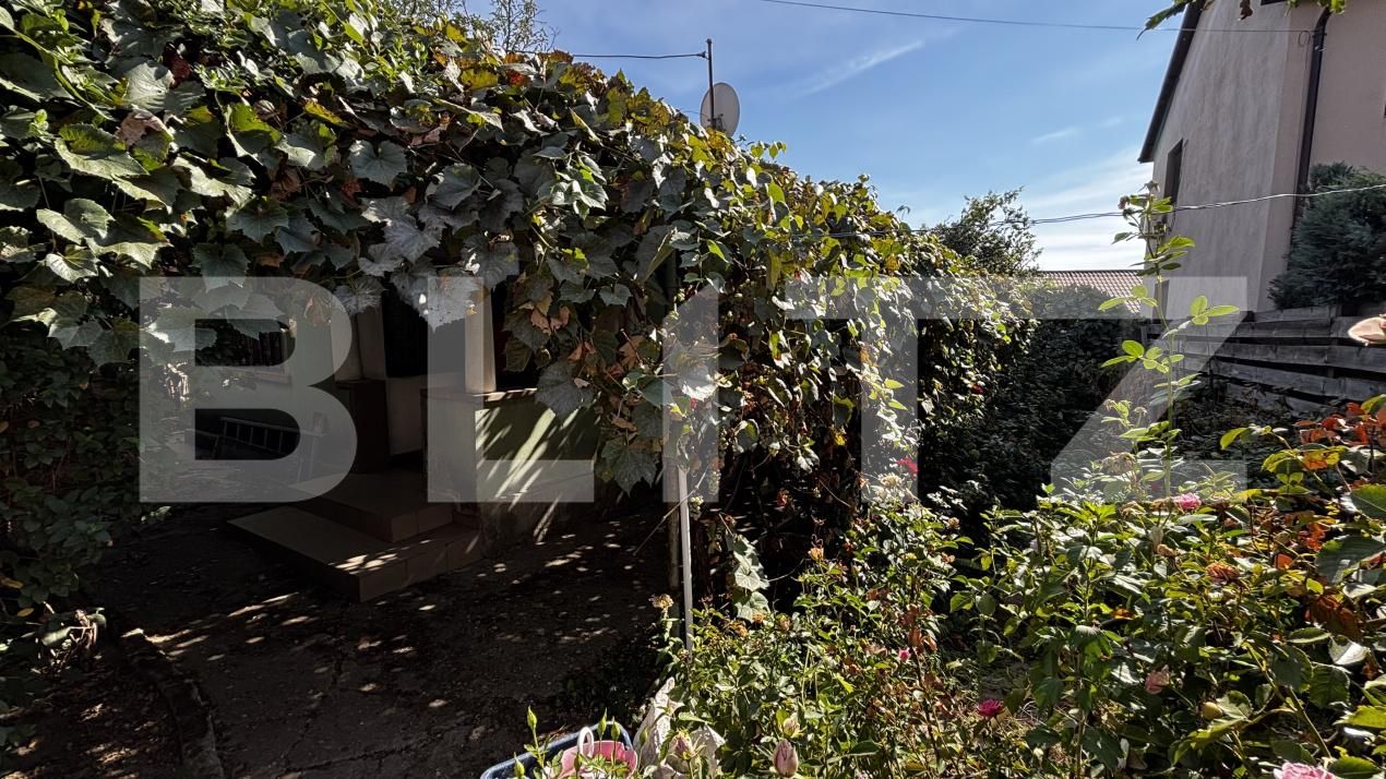 Casa de vânzare 3 camere Bariera Valcii - 206399CV | BLITZ Craiova | Poza3