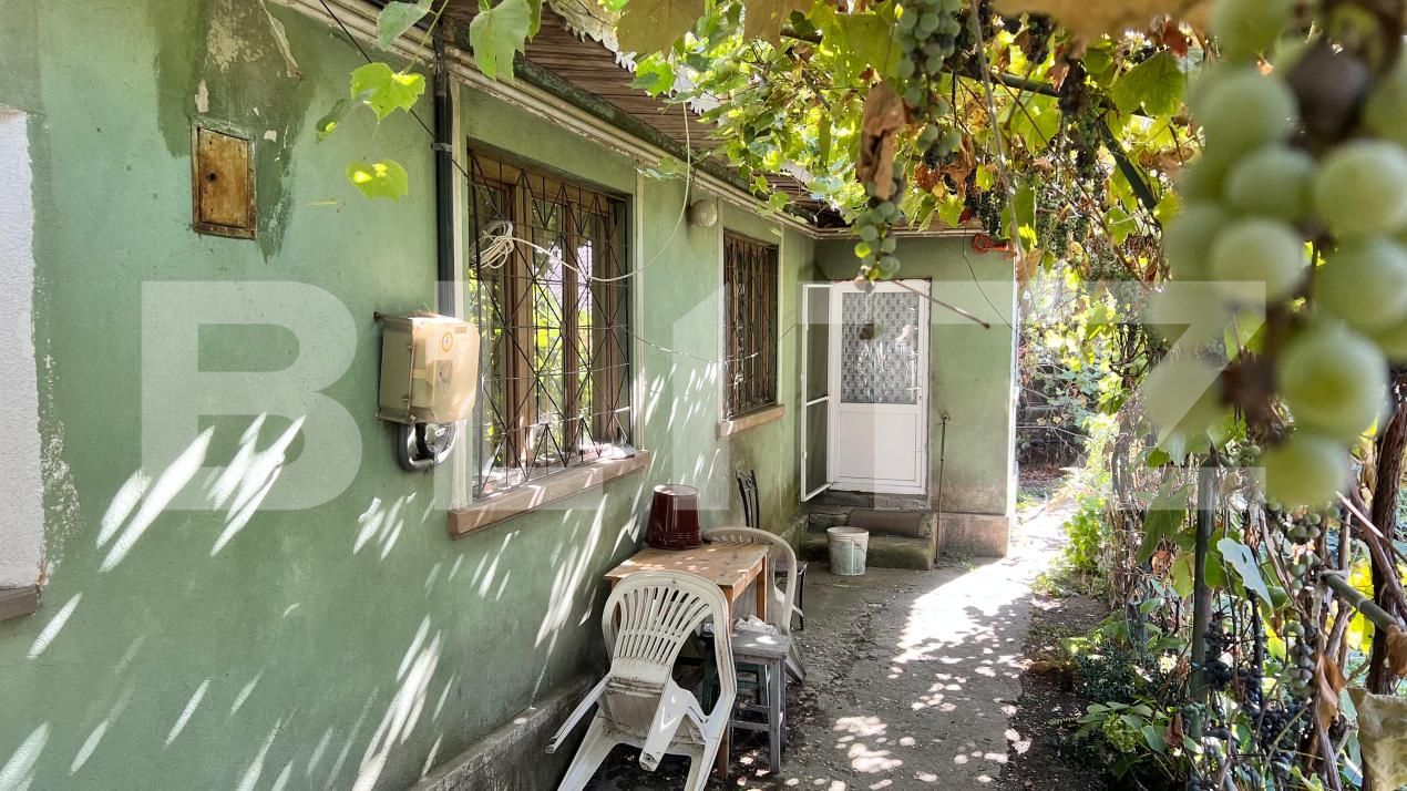 Casa de vânzare 3 camere Bariera Valcii - 206399CV | BLITZ Craiova | Poza9