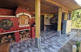 Vila P+1, 270 mp, 741 mp teren, zona Catargiu