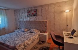 Vila P+1, 270 mp, 741 mp teren, zona Catargiu