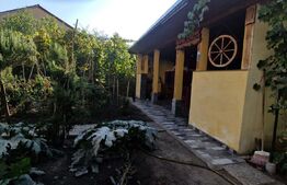 Vila P+1, 270 mp, 741 mp teren, zona Catargiu