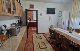 Vila P+1, 270 mp, 741 mp teren, zona Catargiu