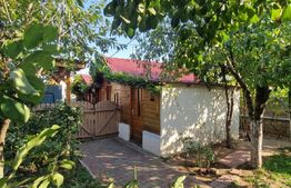 Vila P+1, 270 mp, 741 mp teren, zona Catargiu