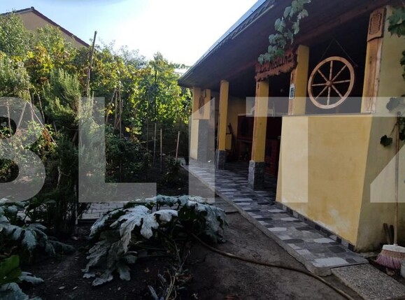Casa de vânzare 7 camere Lascar Catargiu - 206402CV | BLITZ Craiova | Poza24