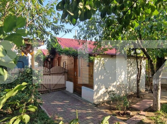 Casa de vânzare 7 camere Lascar Catargiu - 206402CV | BLITZ Craiova | Poza3