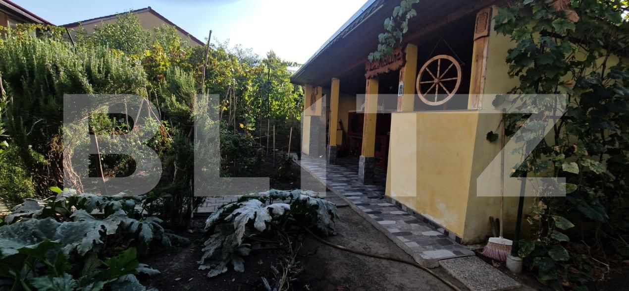 Casa de vânzare 7 camere Lascar Catargiu - 206402CV | BLITZ Craiova | Poza24