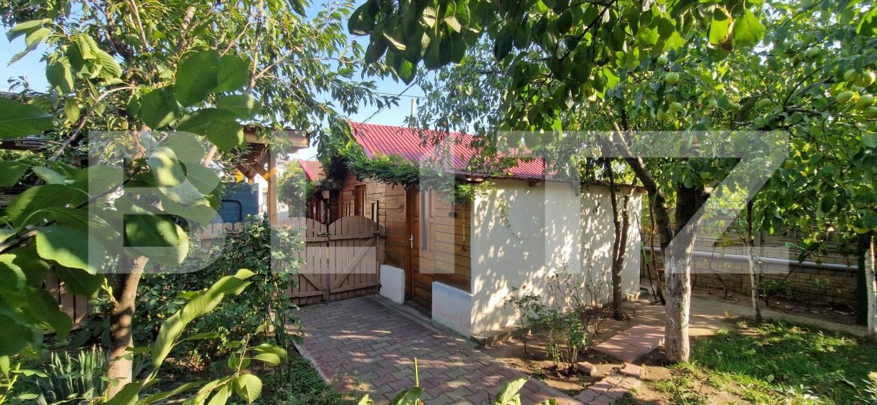 Casa de vânzare 7 camere Lascar Catargiu - 206402CV | BLITZ Craiova | Poza3