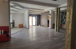 Spatiu comercial de inchiriat, 220 mp, zona Brazda lui Novac