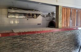 Spatiu comercial de inchiriat, 220 mp, zona Brazda lui Novac