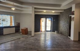 Spatiu comercial de inchiriat, 220 mp, zona Brazda lui Novac