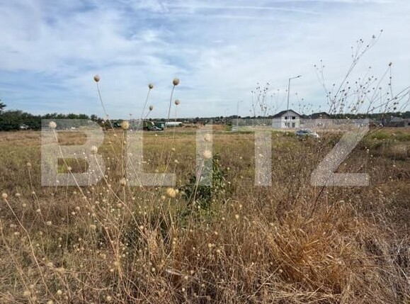 Teren de vânzare Filiaşi - 206425TV | BLITZ Craiova | Poza3