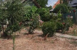 Casa de vazanre, 44.81 mp, teren 1.239 mp, zona Bradesti
