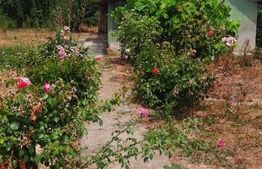 Casa de vazanre, 44.81 mp, teren 1.239 mp, zona Bradesti